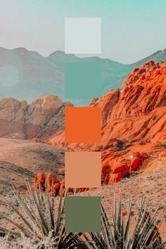 the desert is full of red rocks and green plants, with mountains in the background