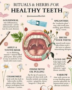 دورة شهرية, Medical Herbs, Teeth Health, Natural Healing Remedies, Herbal Healing, Home Health Remedies, Herbs For Health, Teeth Care, Healing Herbs