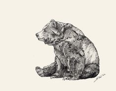 a drawing of a bear sitting on the ground