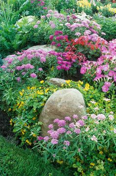 colorful flowers and rocks in a garden