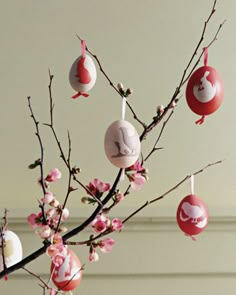 some ornaments are hanging from a branch with pink flowers in the foreground and a white wall behind them