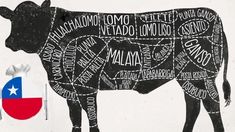 a cow that has been cut into pieces with the word texas written all over it