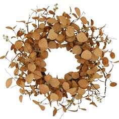 a close up of a wreath made out of leaves and twigs on a white background