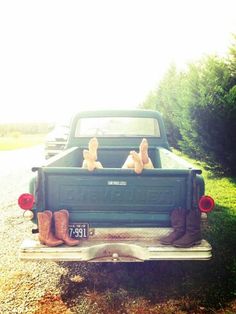 an old pick up truck is parked on the side of the road with two dogs in the back