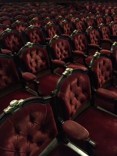 rows of red velvet chairs in an empty theater or movie room with gold trimmings