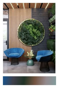 two blue chairs in front of a wall with plants on it