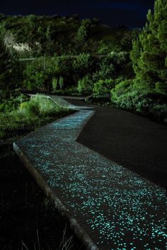 an empty road is lit up at night with blue stars on the pavement and trees in the background