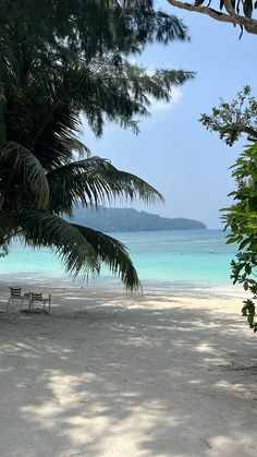 two wooden benches sitting on top of a sandy beach next to the ocean and palm trees