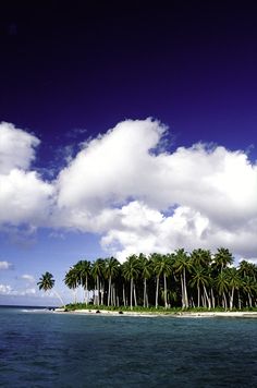 an island surrounded by palm trees in the middle of the ocean under a blue sky with white clouds