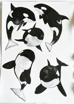 some black and white orca whales on a piece of paper