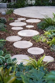 a garden with stepping stones in the middle