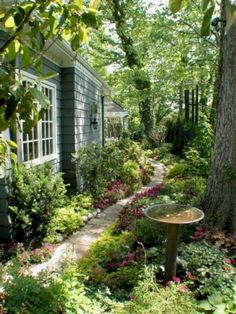 a garden with lots of flowers and trees