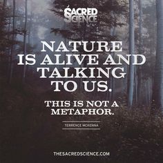 a quote on nature is alive and talking to us this is not a metaphora