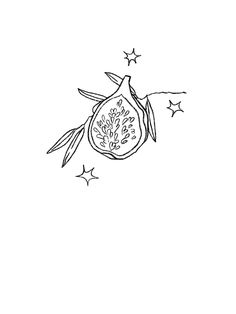 a black and white drawing of a pomegranate with stars on the side