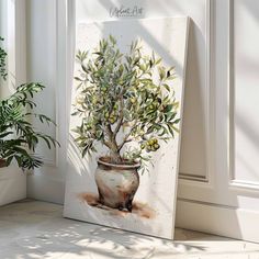 an olive tree in a pot on the floor