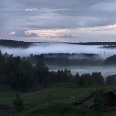 fog is covering the valley and trees in the distance