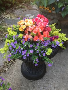 an arrangement of flowers in a pot on the ground