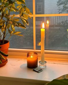 two lit candles sit on a window sill next to a potted plant and remote control