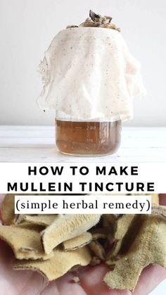 A glass jar with mullein tincture in it. Cream cheesecloth is on top of the jar with mullein leaves that have been strained off. Nettle Tincture, Lemon Balm Tincture, Tinctures Recipes, Herbal Medicine Recipes, Herbal Recipes, Natural Healing Remedies