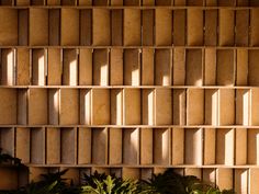 a wall made out of wooden blocks with plants in the foreground and sunlight streaming through them