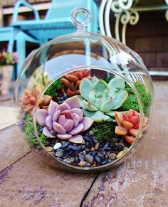 a glass bowl filled with succulents and rocks on top of a wooden table