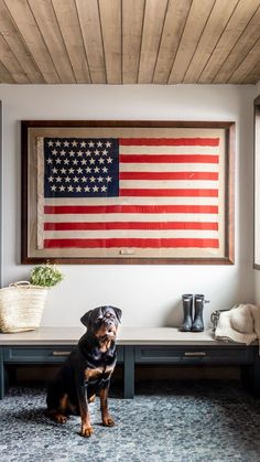 a dog sits in front of an american flag on the wall above a table and bench