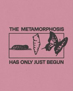 the metamorphosis has only just begun book cover with butterfly on pink background