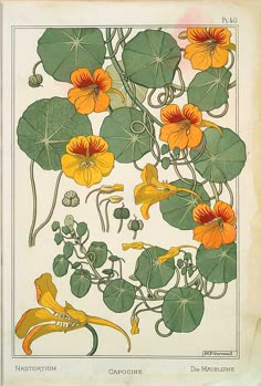 an old book with flowers and leaves on it's cover, in yellow and orange colors