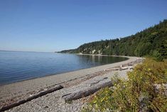 an empty beach with trees and water in the background