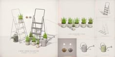 several pictures of plants in pots and ladders with watering can, potted planters