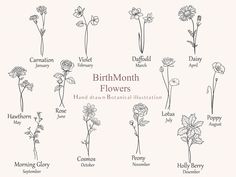 the different types of flowers are shown in this diagram