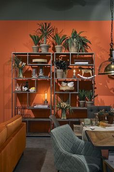 a living room filled with lots of plants next to a dining room table and chairs