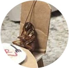 a table with a plate on it sitting next to a brown chair and a bag