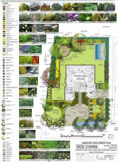 a garden plan with lots of different plants and landscaping items in it, including trees, bushes