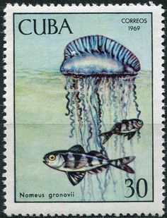 a postage stamp with an image of jellyfish and other fish in the water, from cuba