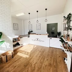 a white kitchen with wooden floors and lots of potted plants on the counter top