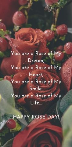 happy rose day quotes for boyfriend him husband and girlfriend Happy Valentines Day Wife, Morning Text Messages For Him, Happy Rose Day Quotes, Romantic Messages For Girlfriend, Rose Day Quotes, Valentines Day Quotes For Wife, Kiss Day Quotes, Happy Valentines Day Quotes For Him, Impress Your Crush