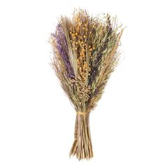 dried flowers are arranged on a white background