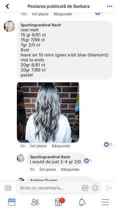 Silver Hair Color Formula, Silver Ombre Hair, Silver Shampoo, Romantic Hairstyles, Silver Hair Color, Wella Hair