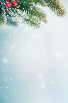 a christmas tree branch with red berries and snow flakes on the branches, against a blue background