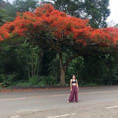 a woman standing on the side of a road in front of a tree with red flowers