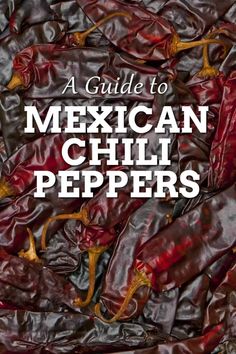 mexican chili peppers with the title, a guide to mexican chilli peppers on it