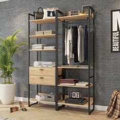 an open closet with clothes hanging on the shelves, and a potted plant next to it