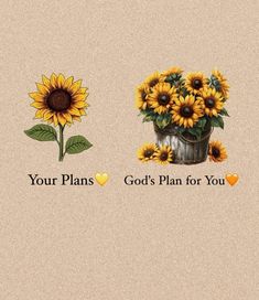 two sunflowers with the words, your plans god's plan for you