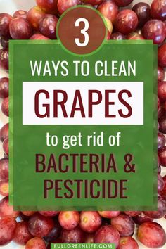 grapes with the title 3 ways to clean grapes to get rid of bacter and pesticide