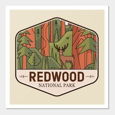 the redwood national park logo with an image of a deer and trees in the background