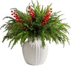 a plant with red berries in a white vase