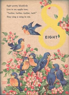 an old birthday card with birds and flowers in the background, eight eight eight eight eight eight eight eight eight eight eight eight eight eight eight eight eight eight eight