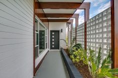 an empty walkway between two buildings with plants in the foreground and on the far side