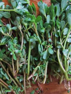 some green plants are laying on a wooden table and ready to be used as garnishes